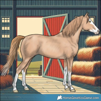 Horse Color:Gold Champagne Splash 