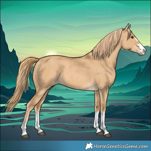 Horse Color:Red Dun 