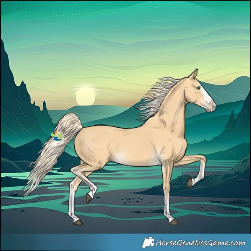 Horse Color:Palomino Splash 