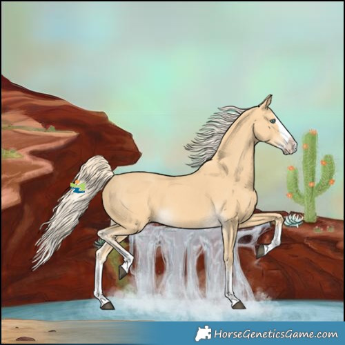 Horse Color:Palomino Splash 
