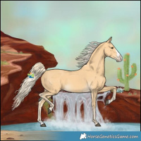 Horse Color:Palomino Splash