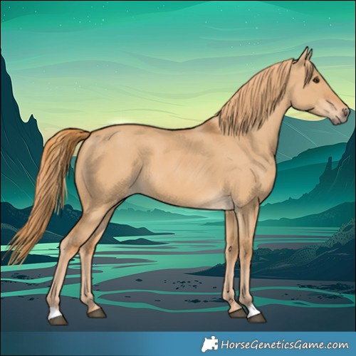 Horse Color:Red Dun 