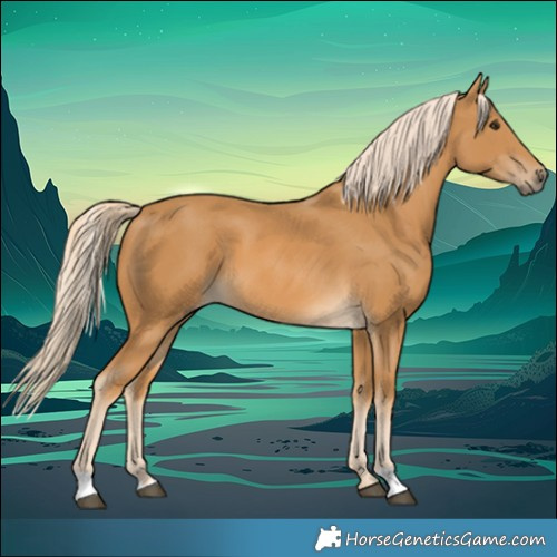 Horse Color:Palomino 