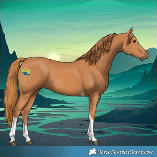 Horse Color:Chestnut Tobiano Rabicano 
