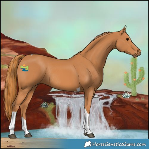 Horse Color:Chestnut Tobiano Rabicano 