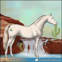 Horse Color:Perlino 