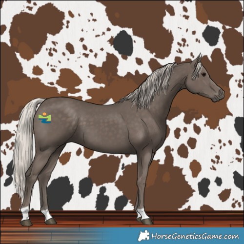Horse Color:Silver Black