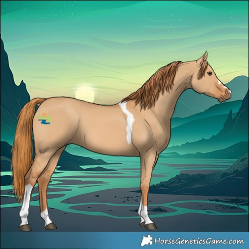 Horse Color:Red Dun Tobiano 