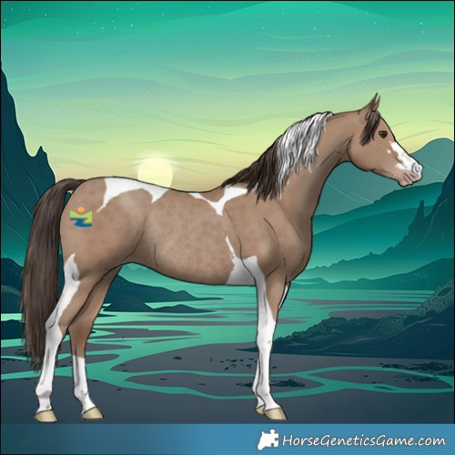 Horse Color:Classic Champagne Tobiano Rabicano 
