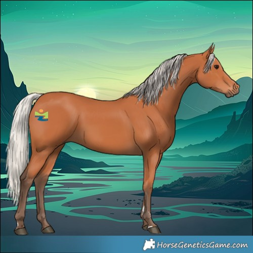Horse Color:Silver Bay 
