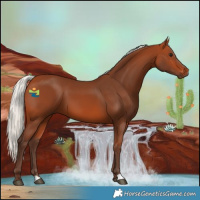 Horse Color:Silver Bay 