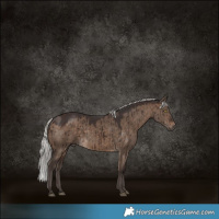 Horse Color:Silver Brown Dun Brindle 