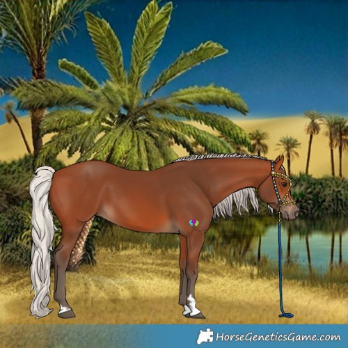 Horse Color:Silver Bay