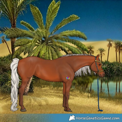Horse Color:Silver Bay