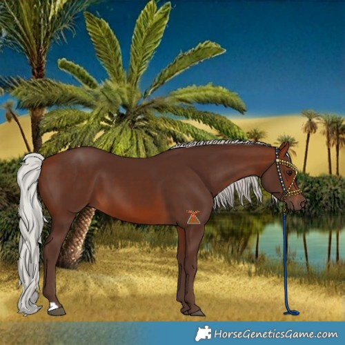 Horse Color:Silver Brown