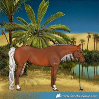 Horse Color:Silver Bay