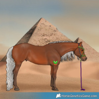 Horse Color:Silver Bay