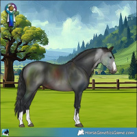 Horse Color:Brown 