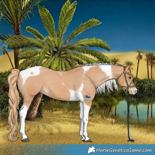 Horse Color:Chestnut Tobiano Varnish