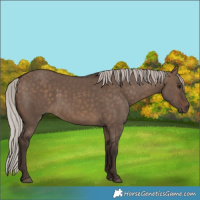 Horse Color:Silver Brown Dun