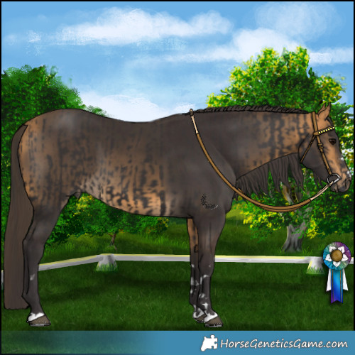 Horse Color:Smoky Black and Buckskin