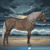 Horse Color:Silver Brown Dun