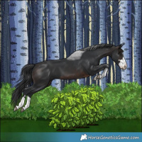 Horse Color:Brown 