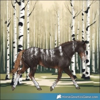 Horse Color:Powder White Liver Chestnut