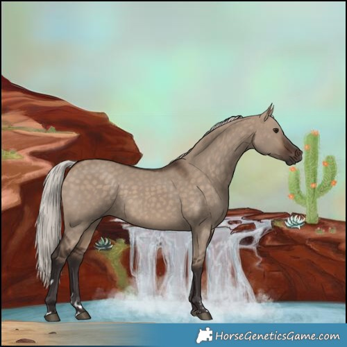 Horse Color:Silver Brown Dun 