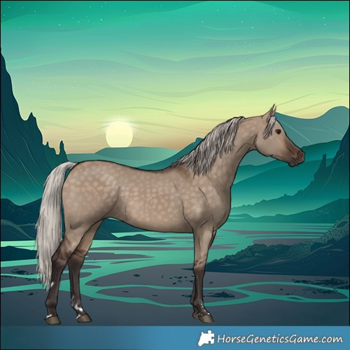Horse Color:Silver Brown Dun