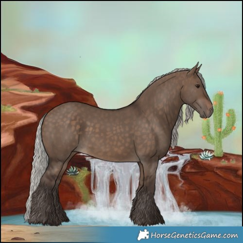 Horse Color:Silver Brown Dun 