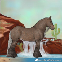 Horse Color:Silver Brown Dun