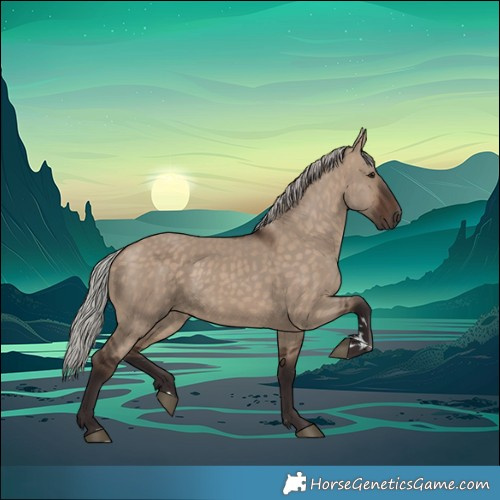 Horse Color:Silver Brown Dun 