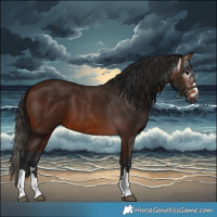Horse Color:Gray Bay 