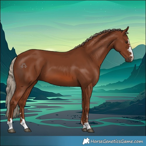 Horse Color:Chestnut 