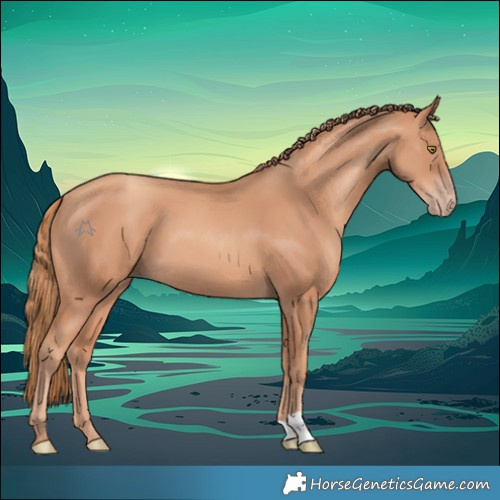 Horse Color:Gold Champagne 