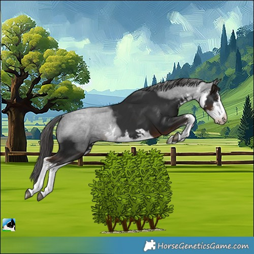 Horse Color:White Spotted Liver Chestnut