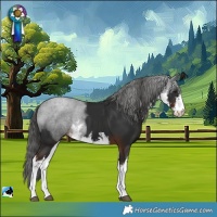 Horse Color:White Spotted Liver Chestnut 