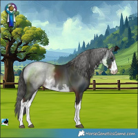 Horse Color:White Spotted Liver Chestnut 
