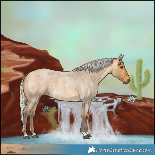 Horse Color:Silver Buckskin Roan