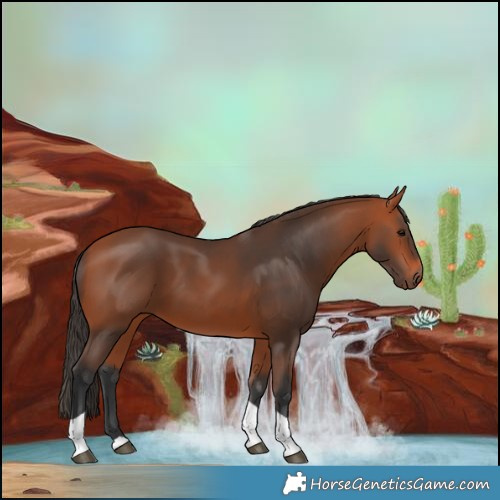 Horse Color:Bay Tobiano Rabicano 