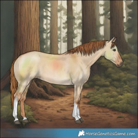 Horse Color:Red Dun Tobiano 