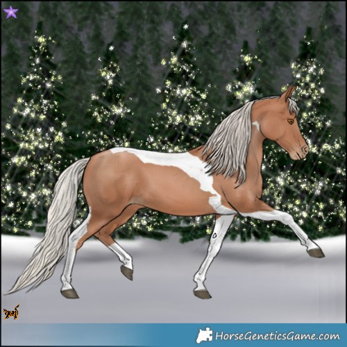 Horse Color:Silver Black Pearl Tobiano 