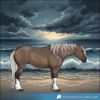 Horse Color:Silver Brown Dun Tobiano