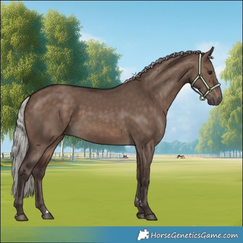 Horse Color:Silver Brown Dun