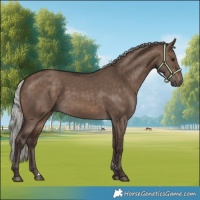 Horse Color:Silver Brown Dun 