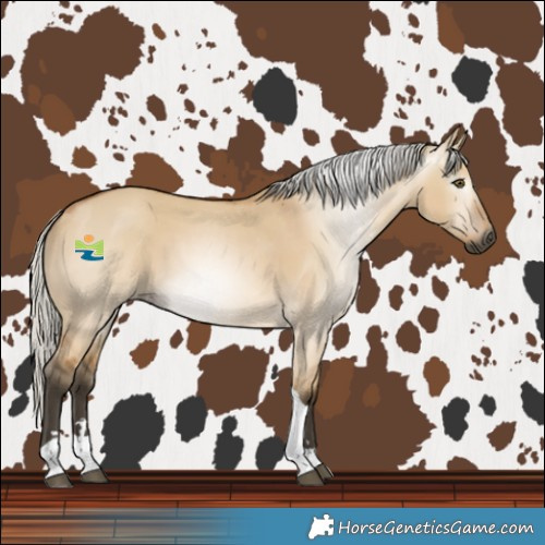 Horse Color:Gray Silver Buckskin Dun Tobiano 