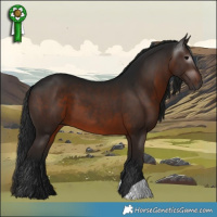 Horse Color:Gray Brown 
