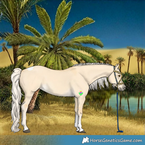 Horse Color:Palomino Dun Tobiano