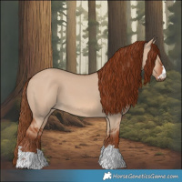 Horse Color:Red Dun